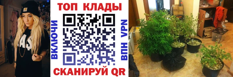 Купить закладку ГАШ  А ПВП  Мефедрон  Конопля  Воскресенск