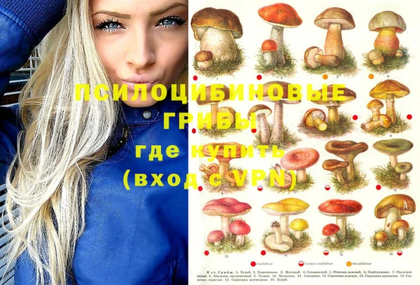 гашишное масло Богородицк