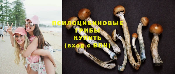 гашишное масло Богородицк
